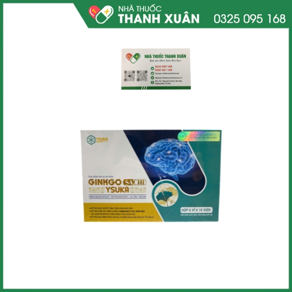 Ginkgo Sachi Ysuka - Hỗ trợ hoạt huyết, tăng tuần hoàn máu não